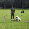 20160625_153035